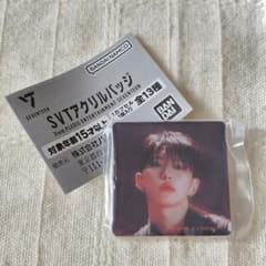 SEVENTEEN 가샤폰 SVT 아크릴 배지 ☆ HOSHI