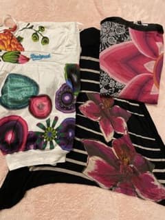Desigual 3枚セットのサムネイル
