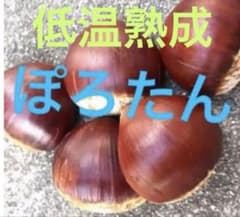 低温熟成　生栗　ぽろたん　大のサムネイル