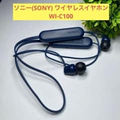 SONY ワイヤレスイヤホン ブルーのサムネイル