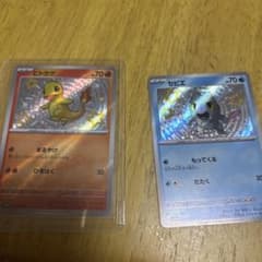 ポケモンカード色違いのサムネイル