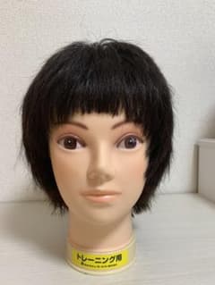 カットウィッグ 美容師 国家試験 美容学生のサムネイル