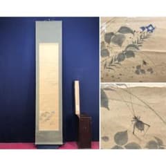 【真作】菅真人/秋菊図/菅楯彦に師事/花図/横物/掛軸/名家伝来/AC-309 真作/志郎/秋月草花図/コオロギ/秋の掛軸/掛軸/名家伝来/AM-57 - メルカリ