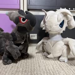 ぴ*゜様 ポケドール レシラム ゼクロム ぬいぐるみのサムネイル