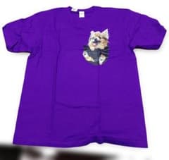 犬 わんこのイラスト付き紫Tシャツ XXXL　胸元ダメージありのサムネイル