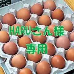 HARUさん様専用【若鶏の朝採り赤たまご】M~Lサイズ☆80個+双13個のサムネイル