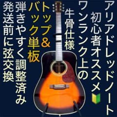牛骨☆トップ&バック単板】アリアドレッドノートAD50【弾き易く調整