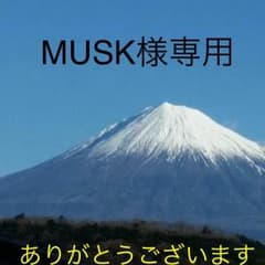 ❤️MUSK様専用ページのサムネイル
