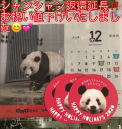シャンシャンクリアファイル＊上野松坂屋限定のサムネイル