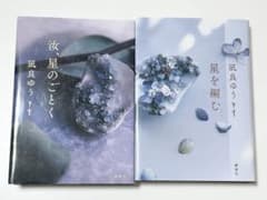 【まとめ売り】凪良ゆう 「汝、星のごとく」「星を編む」のサムネイル