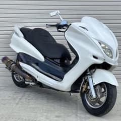 m81476537545_1.jpg?1726019827