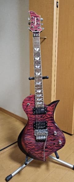 FERNANDES RAVELLE ELTのサムネイル
