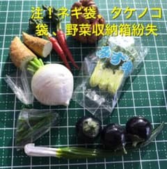 リーメント ぷちサンプルシリーズ第19弾『産地直送もぎたてパック』京都府産 野菜のサムネイル