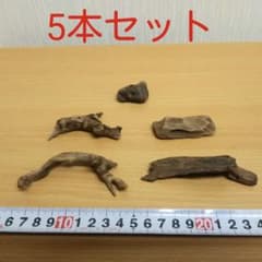 マングローブ系ミニ流木5本③　　　　　　アクアリウム3点同時購入800円引き‼️のサムネイル