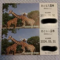 富士サファリパーク　大人2枚のサムネイル