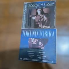 WANDS 時の扉 CDのサムネイル