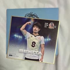 龍神NIPPON 関田のサムネイル