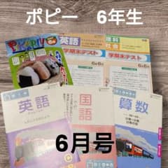 ポピー 】 6年生 6月号 国語 算数 英語 テキスト 家庭学習 復習 テスト