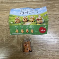 クアッカワラビーの毎日ライフ 目印アクセサリーのサムネイル