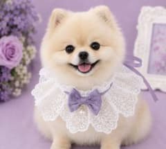 【犬猫用】フリルつけ襟 レース 紫 リボン ペットアクセサリー 推し活撮影会のサムネイル