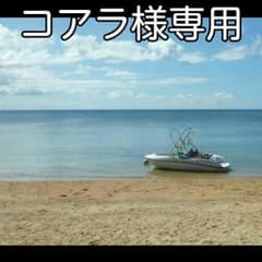 専用ページのサムネイル
