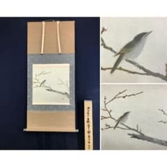 真作/平井楳仙/白梅鴬図/花鳥図/早春/横物/掛軸/名家伝来/AL-180