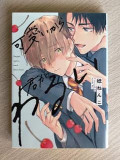 可愛いから君がわるい　BLのサムネイル