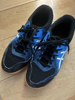 ASICS バレーボールシューズ 25.5cm