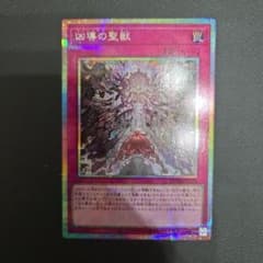 m81533747495_1.jpg?1753510956