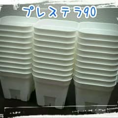 ３セットのみ出品。匿名配送【プレステラ90】１００個のサムネイル