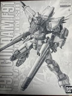 MG 1/100 건담 F91 Ver.2.0 [티타늄 마무리]