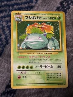 旧裏】フシギバナ 渦ホロ 十字ホロ ポケモンカード - メルカリ