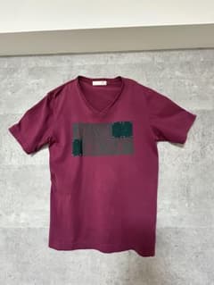 【セレクトショップ購入】グラフィックＶネックTシャツ 赤色 古着old y2kのサムネイル