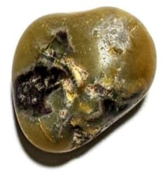 m81560712950_1.jpg?1729769383