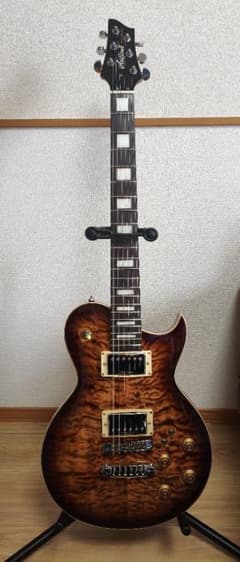 【希少】アリアプロ2 PE-480 【生産完了品】のサムネイル