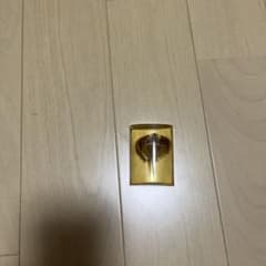 カブトガニ 標本 保存液入り - メルカリ