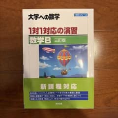 1対1対応の演習 数学B 三訂版のサムネイル