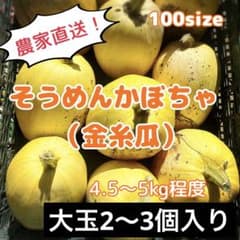 【残りわずか！】そうめんかぼちゃ（金糸瓜） 4.5kg〜5kgのサムネイル