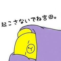 arisaさん専用です(*^^*)のサムネイル
