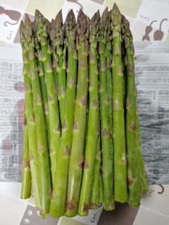 長野県信州産アスパラガス 500ｇ 訳あり - 3