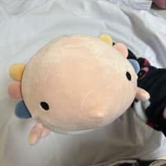 LIV HEART ウーパールーパー ぬいぐるみのサムネイル