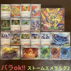 ストームエメラルダまとめ売り2(バラok!!)トレーナーズ ストームエメラルダまとめ売り2(バラok!!)トレーナーズ - メルカリ