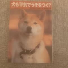 犬も平気でうそをつく?のサムネイル