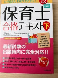 いちばんわかりやすい保育士合格テキスト '22年版下巻のサムネイル