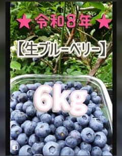 ☆令和8年 生ブルーベリー☆農薬不使用 5㌔ 桃太郎 ☆令和8年 生ブルーベリー☆農薬不使用 1㌔ - メルカリ