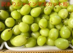 訳ありシャインマスカット粒のサムネイル