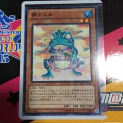 粋カエルのサムネイル