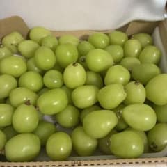 山梨産 シャインマスカット 1kg 朝採れ 甘いのサムネイル