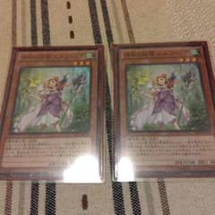 神秘の妖精 エルフィリア 2枚 遊戯王のサムネイル