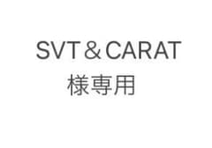 SVT＆CARAT様専用です。のサムネイル